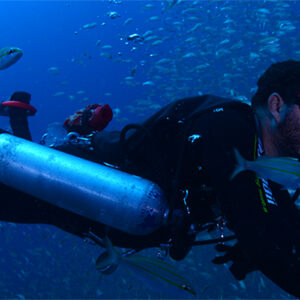 Sidemount