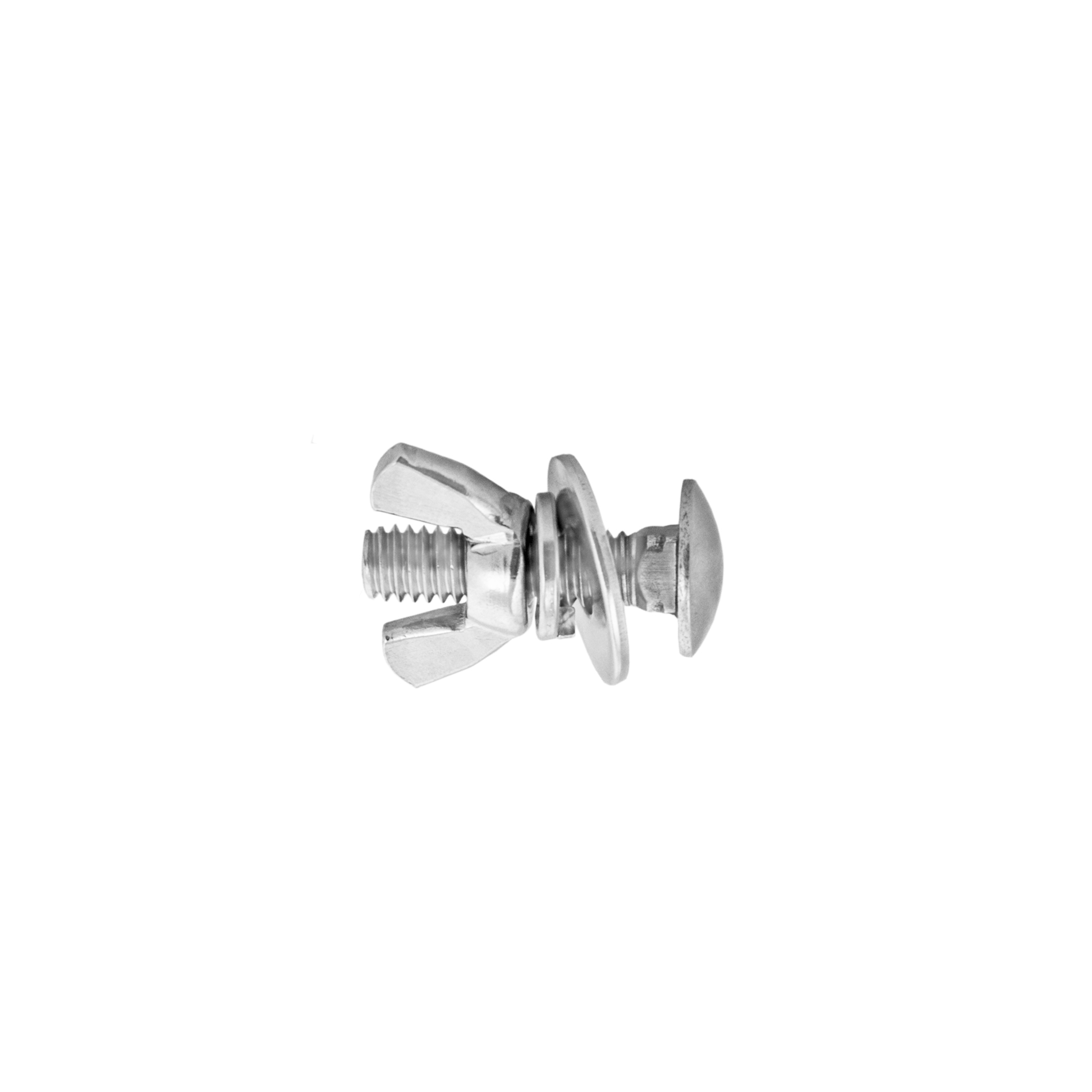 Screw for single tank SS adapter 445g – Tecline